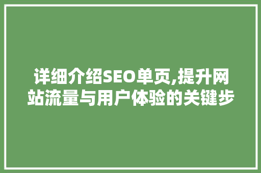 详细介绍SEO单页,提升网站流量与用户体验的关键步骤
