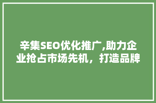 辛集SEO优化推广,助力企业抢占市场先机，打造品牌影响力
