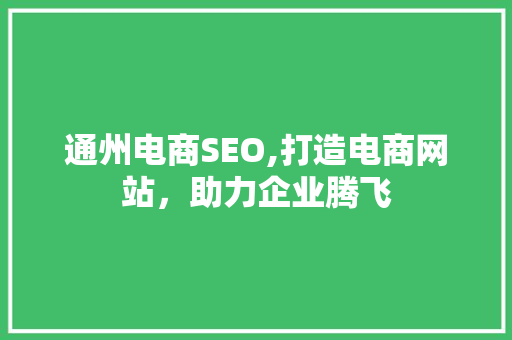 通州电商SEO,打造电商网站，助力企业腾飞