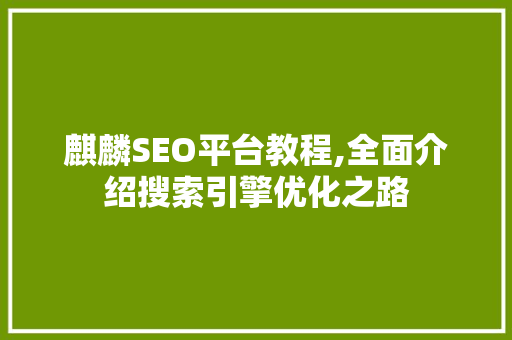 麒麟SEO平台教程,全面介绍搜索引擎优化之路
