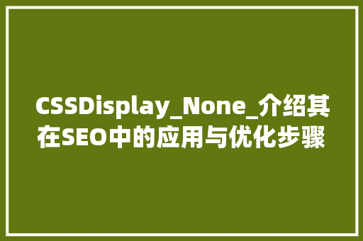 CSSDisplay_None_介绍其在SEO中的应用与优化步骤