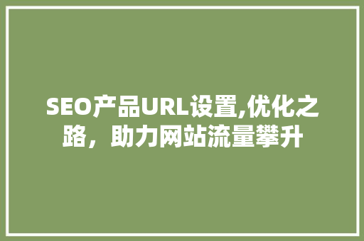 SEO产品URL设置,优化之路，助力网站流量攀升