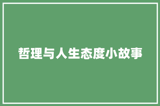 光之刃代码游戏背后的编程奥秘