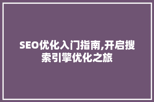 SEO优化入门指南,开启搜索引擎优化之旅
