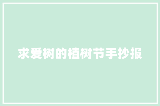 光盘存储技术的演变与未来展望