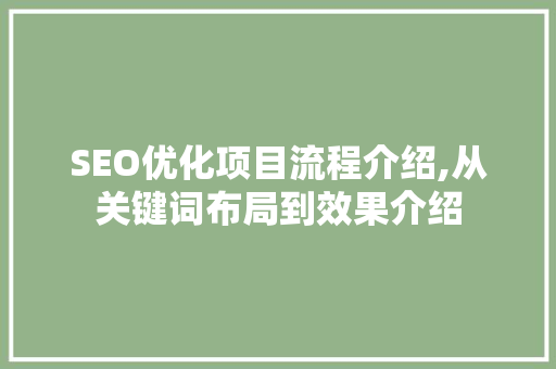 SEO优化项目流程介绍,从关键词布局到效果介绍