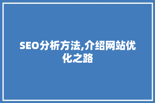 SEO分析方法,介绍网站优化之路