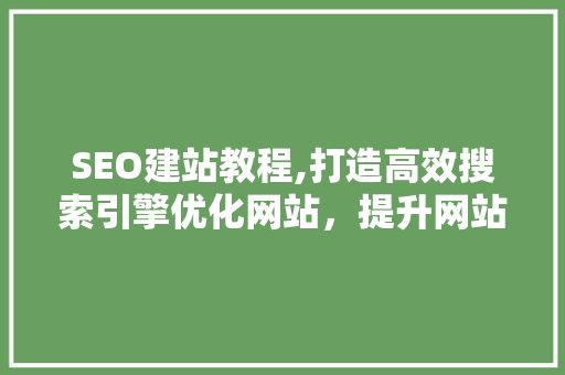 SEO建站教程,打造高效搜索引擎优化网站，提升网站排名与流量