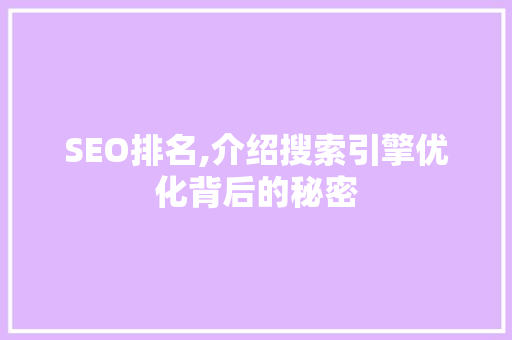 SEO排名,介绍搜索引擎优化背后的秘密