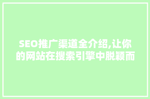 SEO推广渠道全介绍,让你的网站在搜索引擎中脱颖而出