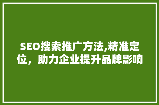 SEO搜索推广方法,精准定位，助力企业提升品牌影响力