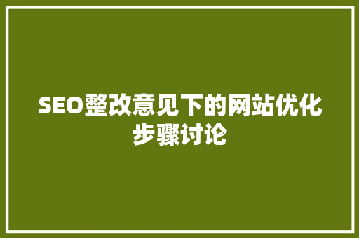 SEO整改意见下的网站优化步骤讨论