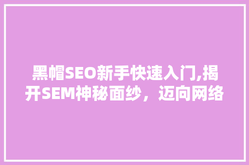 黑帽SEO新手快速入门,揭开SEM神秘面纱，迈向网络营销巅峰
