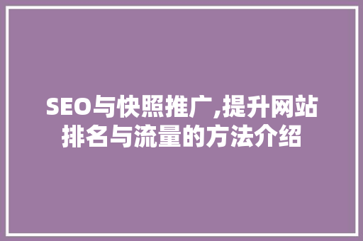 SEO与快照推广,提升网站排名与流量的方法介绍