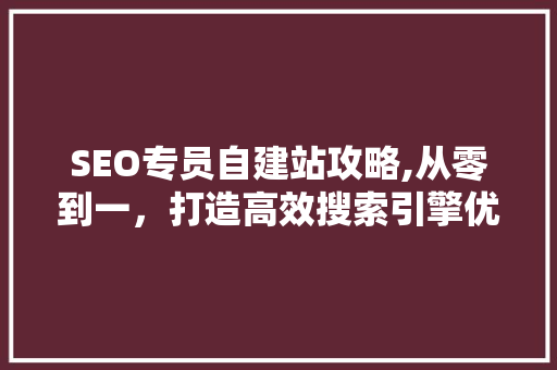 SEO专员自建站攻略,从零到一，打造高效搜索引擎优化网站