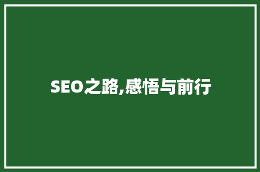 SEO之路,感悟与前行