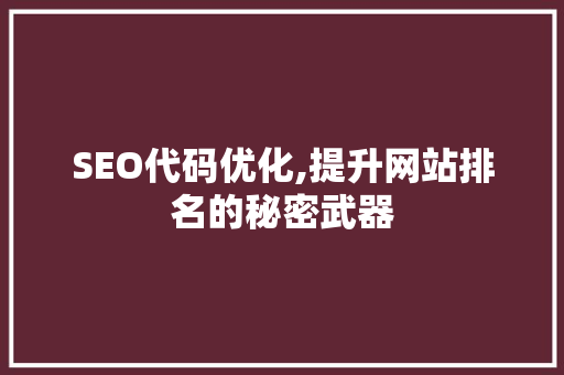 SEO代码优化,提升网站排名的秘密武器