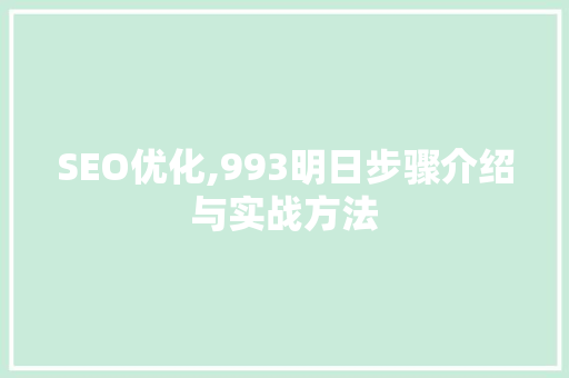SEO优化,993明日步骤介绍与实战方法