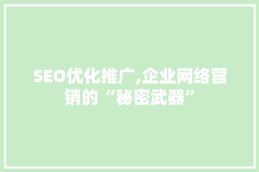 SEO优化推广,企业网络营销的“秘密武器”