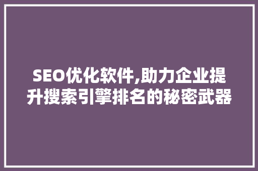 SEO优化软件,助力企业提升搜索引擎排名的秘密武器