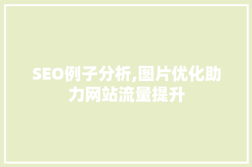 SEO例子分析,图片优化助力网站流量提升
