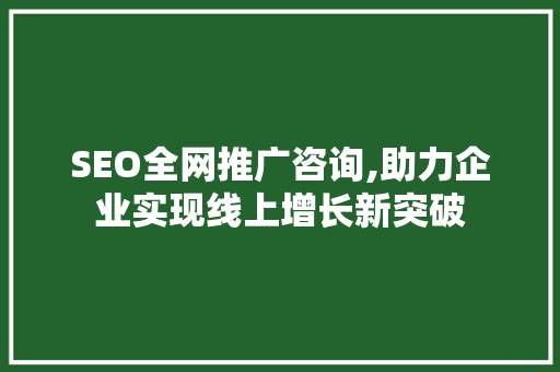 SEO全网推广咨询,助力企业实现线上增长新突破