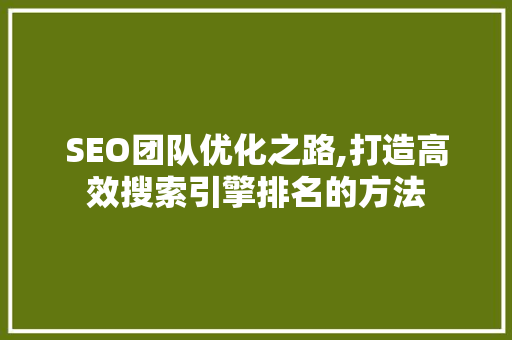 SEO团队优化之路,打造高效搜索引擎排名的方法