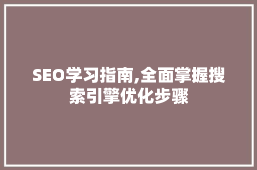 SEO学习指南,全面掌握搜索引擎优化步骤