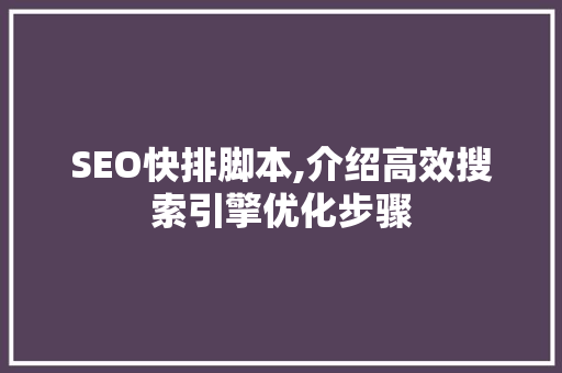 SEO快排脚本,介绍高效搜索引擎优化步骤
