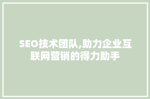 SEO技术团队,助力企业互联网营销的得力助手