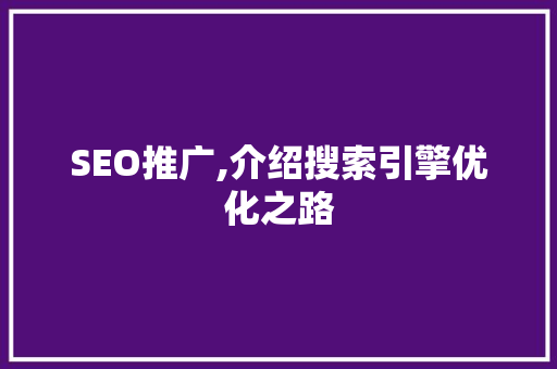 SEO推广,介绍搜索引擎优化之路