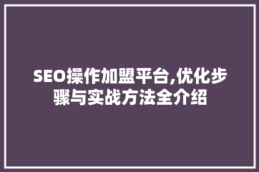 SEO操作加盟平台,优化步骤与实战方法全介绍