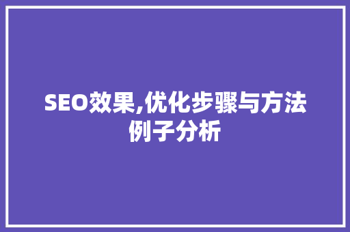 SEO效果,优化步骤与方法例子分析
