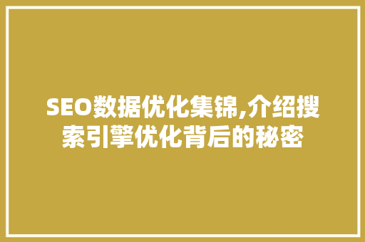 SEO数据优化集锦,介绍搜索引擎优化背后的秘密
