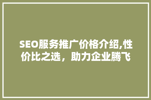 SEO服务推广价格介绍,性价比之选，助力企业腾飞
