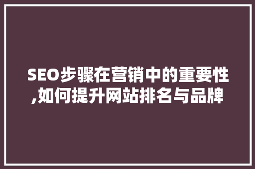 SEO步骤在营销中的重要性,如何提升网站排名与品牌影响力