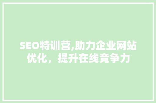SEO特训营,助力企业网站优化，提升在线竞争力