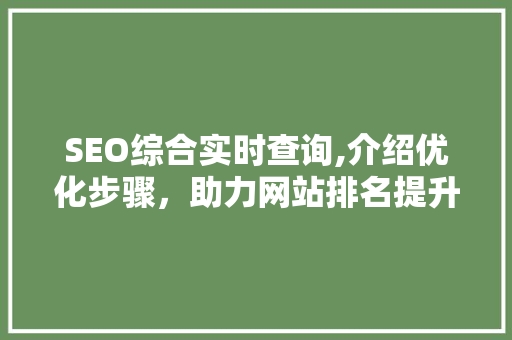 SEO综合实时查询,介绍优化步骤，助力网站排名提升