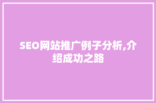 SEO网站推广例子分析,介绍成功之路