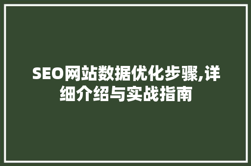 SEO网站数据优化步骤,详细介绍与实战指南
