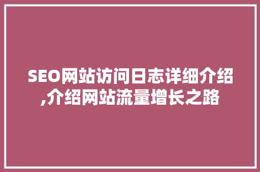 SEO网站访问日志详细介绍,介绍网站流量增长之路