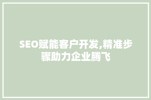 SEO赋能客户开发,精准步骤助力企业腾飞
