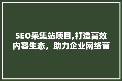 SEO采集站项目,打造高效内容生态，助力企业网络营销新突破