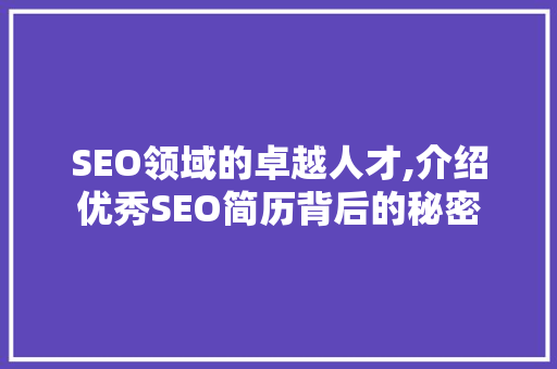 SEO领域的卓越人才,介绍优秀SEO简历背后的秘密