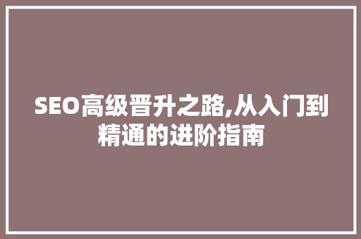 SEO高级晋升之路,从入门到精通的进阶指南
