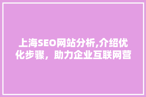 上海SEO网站分析,介绍优化步骤，助力企业互联网营销