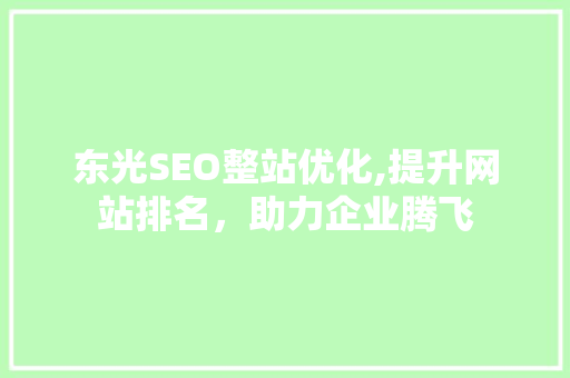 东光SEO整站优化,提升网站排名，助力企业腾飞