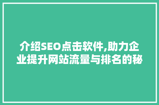 介绍SEO点击软件,助力企业提升网站流量与排名的秘密武器