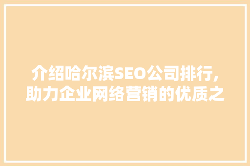 介绍哈尔滨SEO公司排行,助力企业网络营销的优质之选