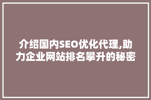 介绍国内SEO优化代理,助力企业网站排名攀升的秘密武器